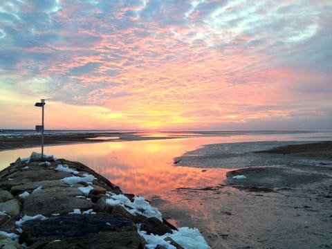 Rock Harbor Cape Cod Tide Chart