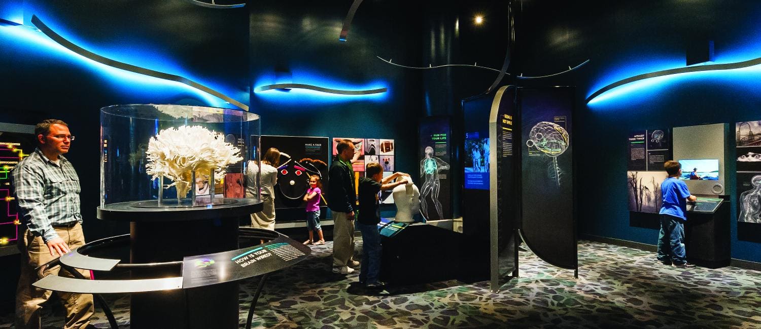 Have A Brainy Summer At The Franklin Institute In Philadelphia Wicked